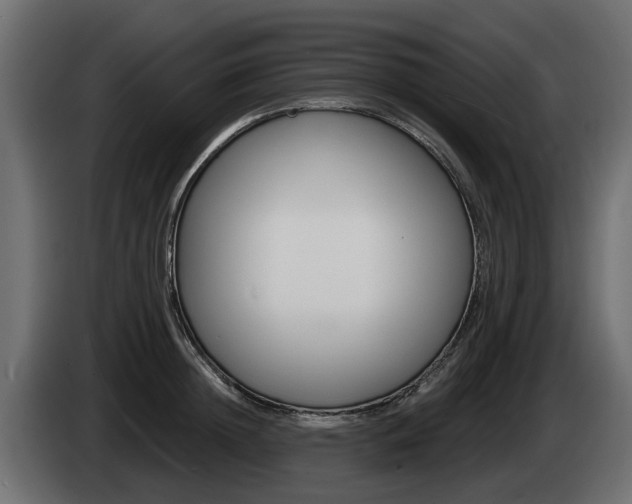 X0000085020852200703050935