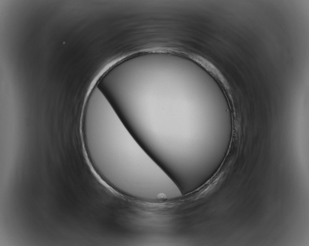 X0000085020855200703050936