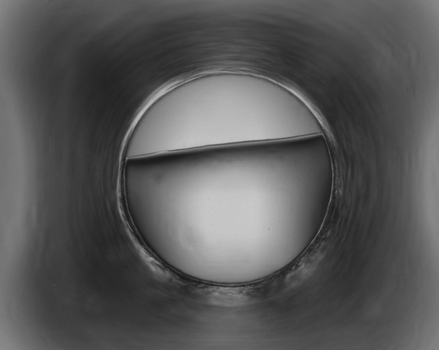 X0000085020861200703050936