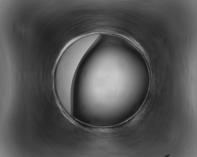 X0000085020862200703050936