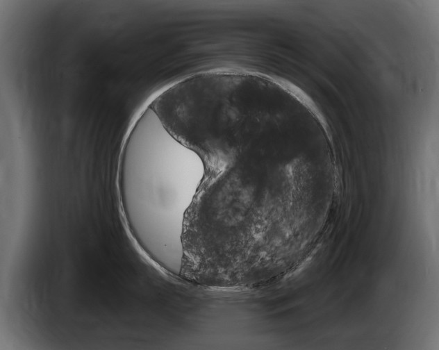 X0000085020863200703050936