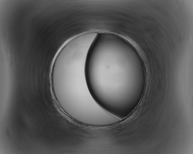 X0000085020864200703050936