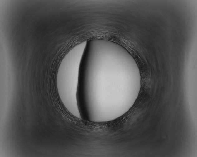 X0000085020865200703050935