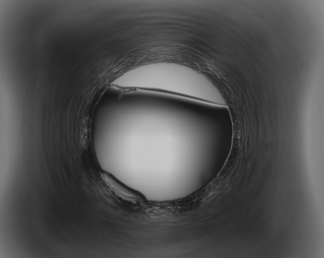 X0000085020868200703050935