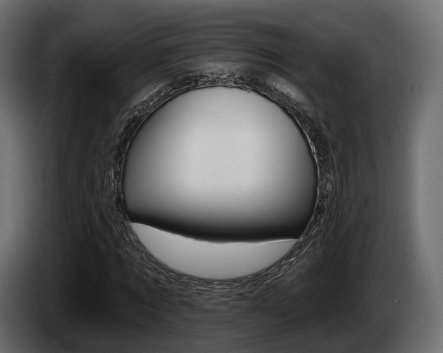 X0000085020869200703050935