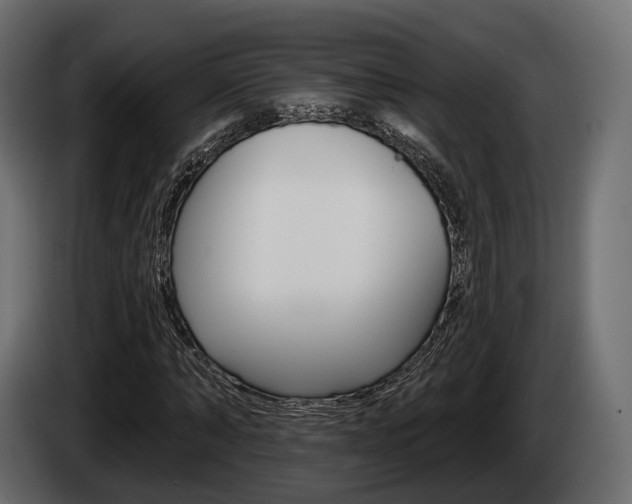 X0000085020870200703050935