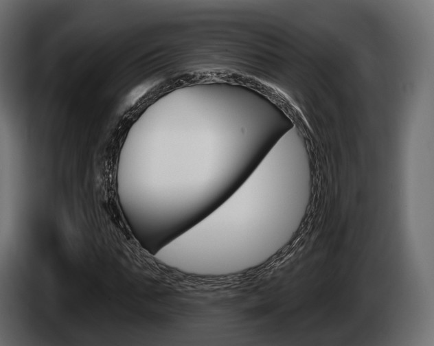 X0000085020871200703050935