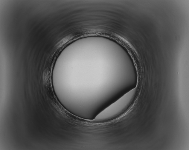 X0000085020873200703050935