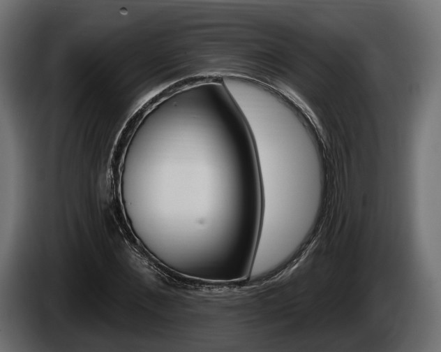 X0000085020876200703050935