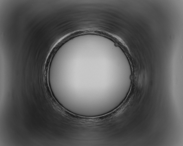 X0000085020879200703050935