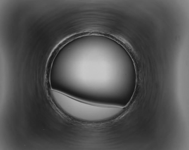 X0000085020880200703050935