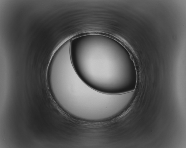 X0000085020885200703050935