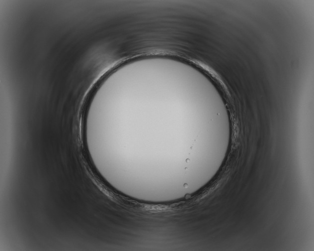 X0000085020886200703050935