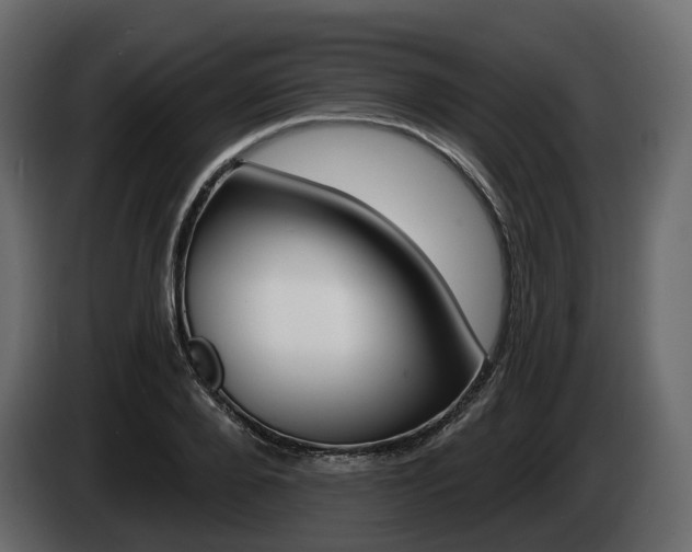 X0000085020888200703050935