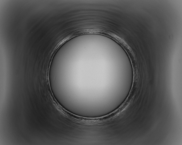 X0000085020889200703050935