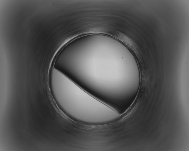 X0000085020892200703050935