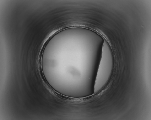 X0000085020893200703050935