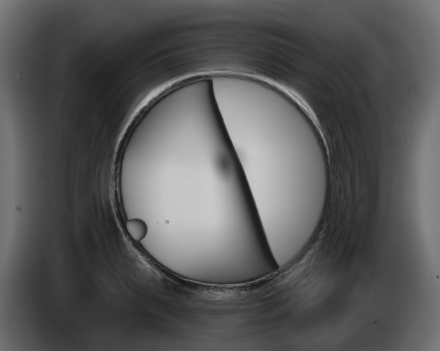 X0000085020895200703050935