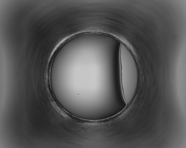X0000085020896200703050934