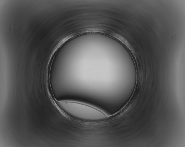 X0000085020898200703050934