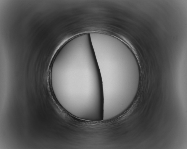 X0000085020899200703050934