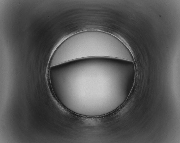 X0000085020901200703050934