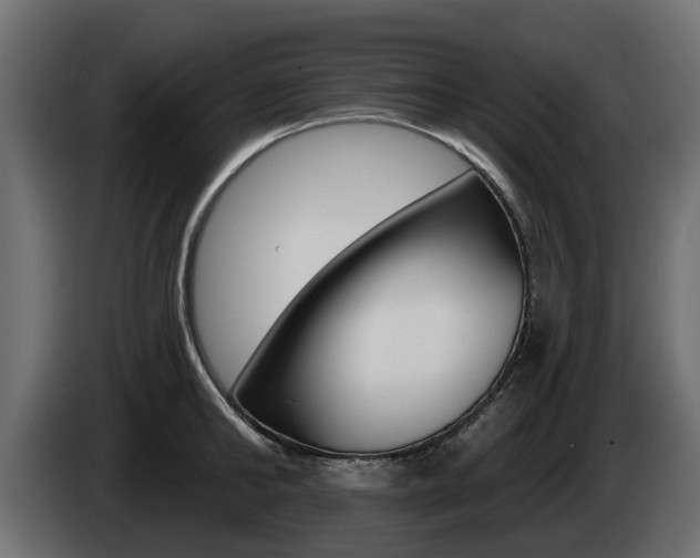 X0000085020902200703050934