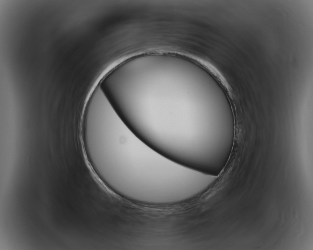 X0000085020903200703050934