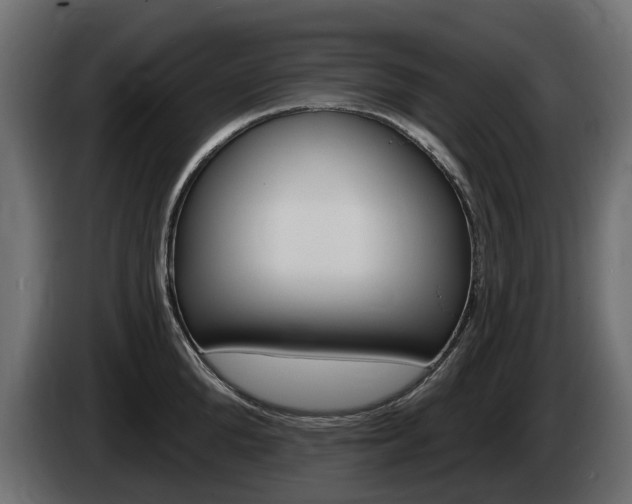 X0000085020904200703050934