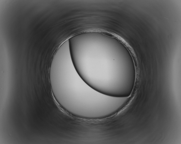 X0000085020905200703050934