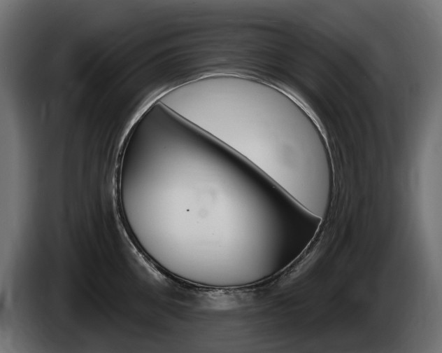 X0000085020906200703050934