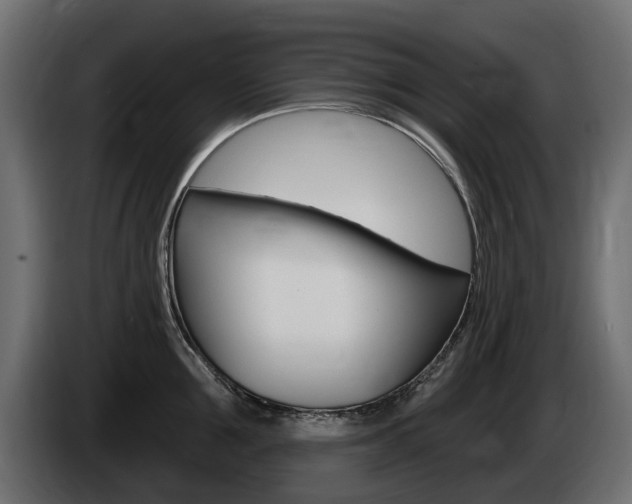 X0000085020907200703050934