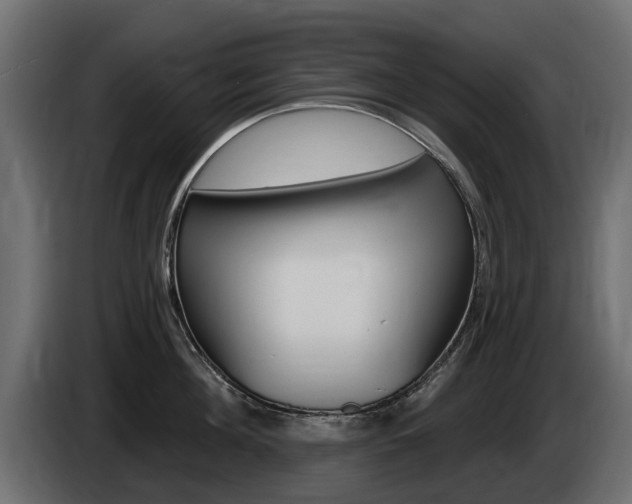 X0000085020908200703050934