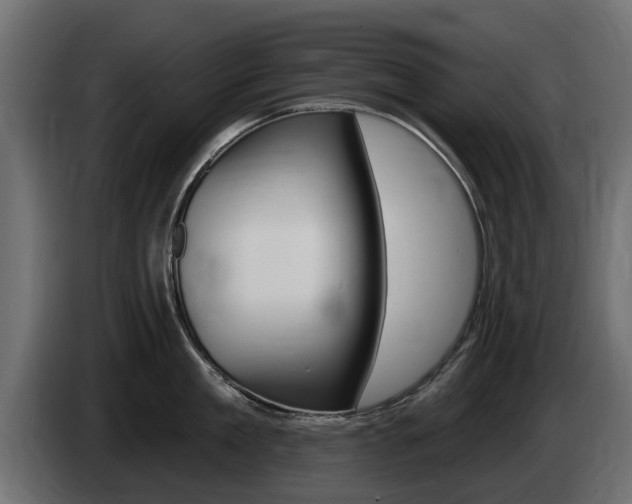 X0000085020909200703050934