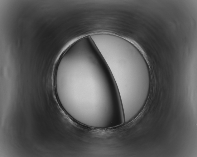 X0000085020910200703050934
