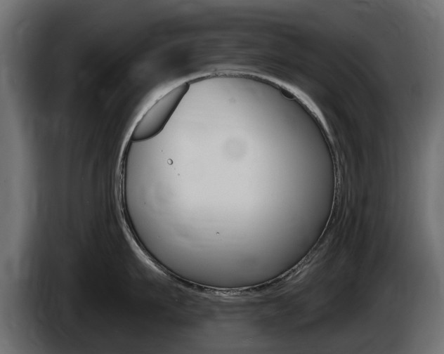 X0000085020911200703050934