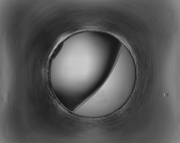 X0000085020912200703050934