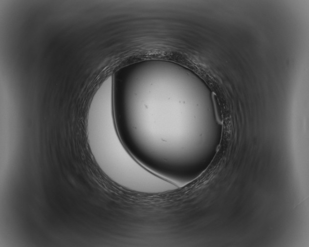 X0000085020916200703050934