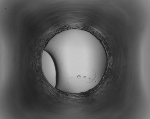 X0000085020917200703050934