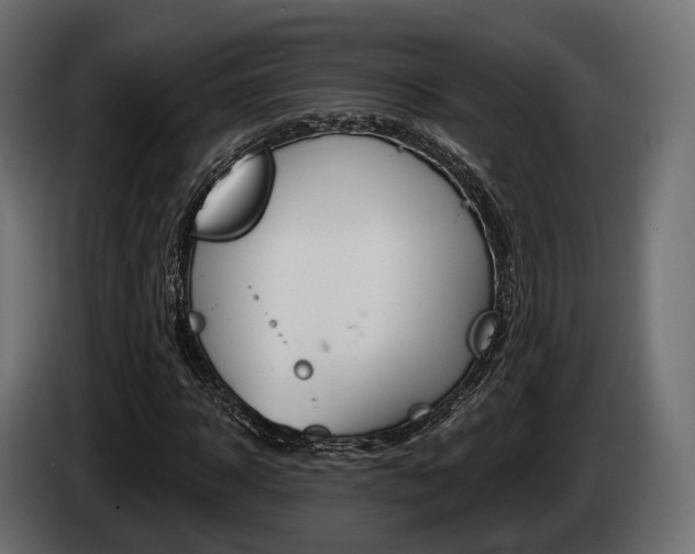 X0000085020918200703050934