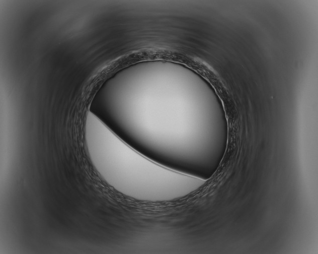 X0000085020919200703050934