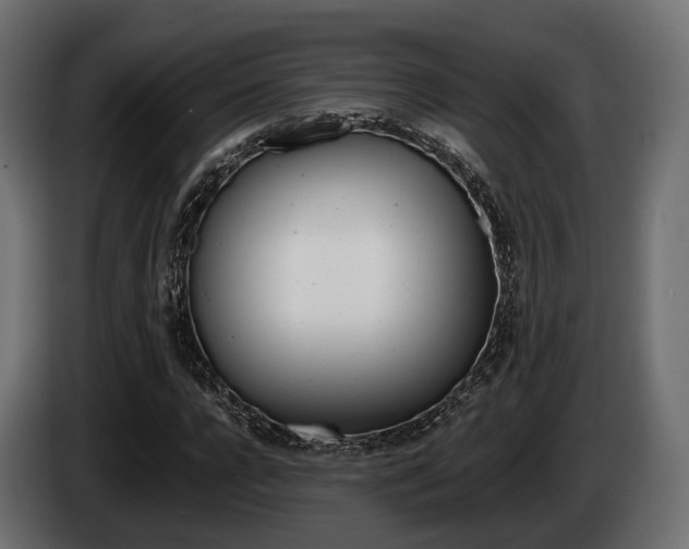 X0000085020920200703050934