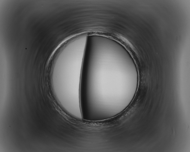 X0000085020923200703050934