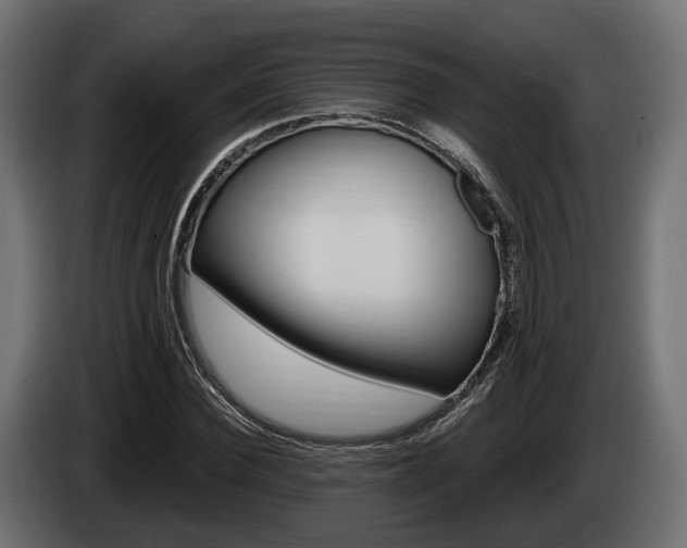 X0000085020924200703050934