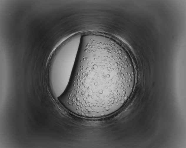 X0000085020925200703050934