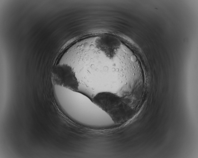 X0000085020929200703050934