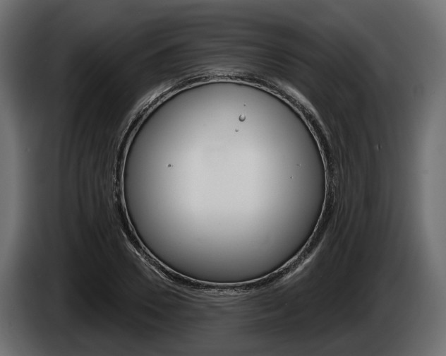 X0000085020930200703050934