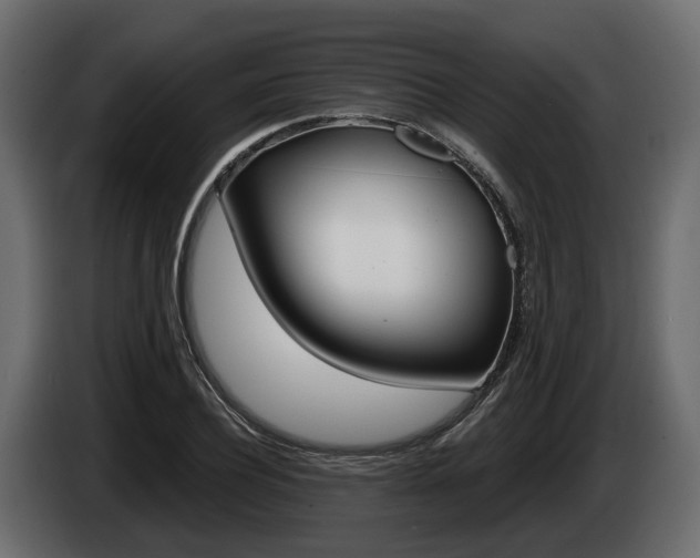 X0000085020932200703050934