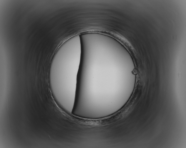 X0000085020937200703050934