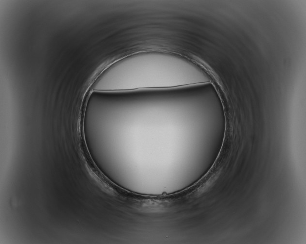 X0000085020938200703050934